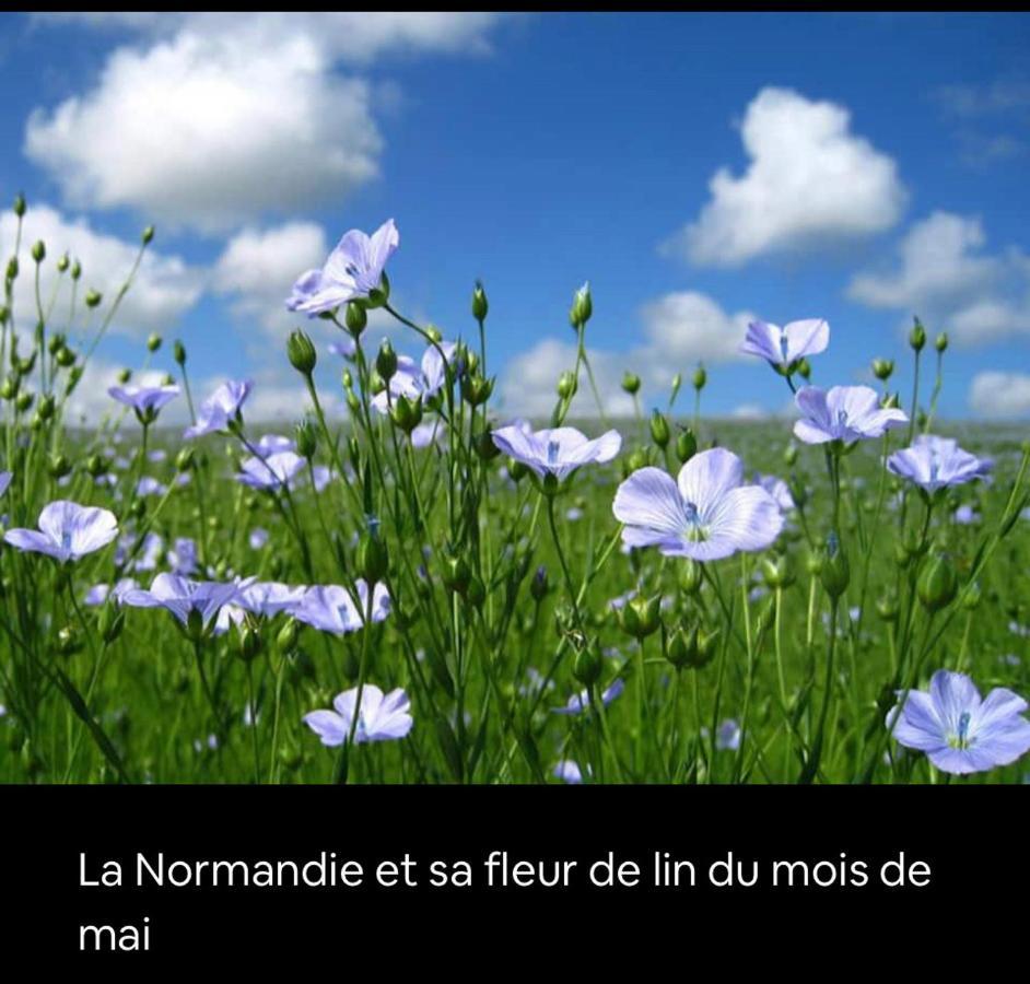 Appartement Veules Roses , La Cressonniere: « Veules & Victor «  Kültér fotó